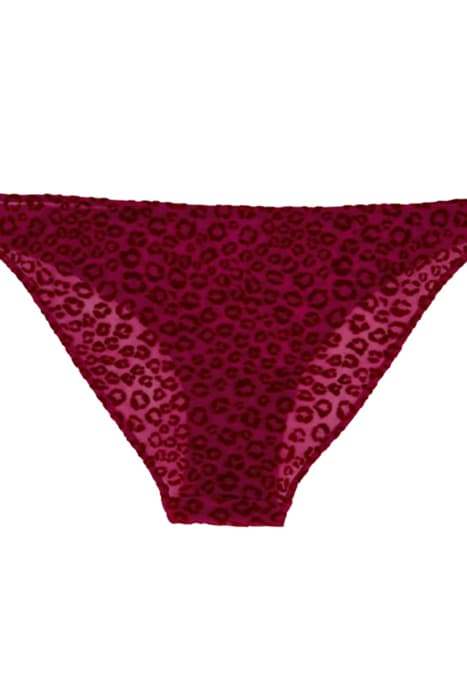 MESH BIKINI BRIEFS BEET by Understatement