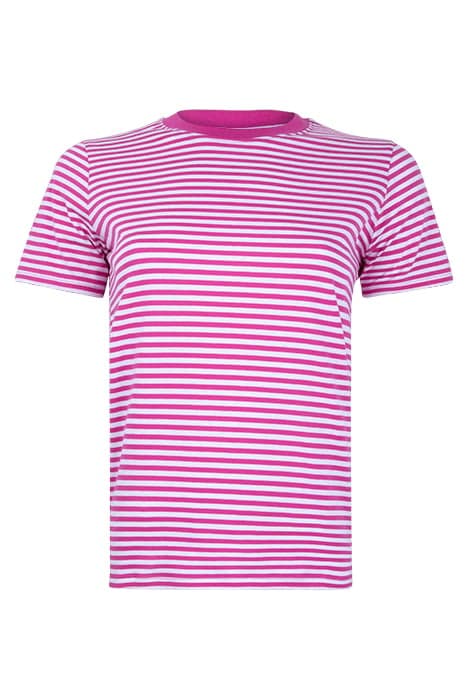 CREW STRIPE TEE WILD ROSA/WHITE by French Connection