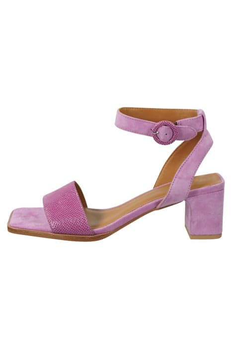 COURTNEY SANDAL LILAC by Scotch & Soda Footwear