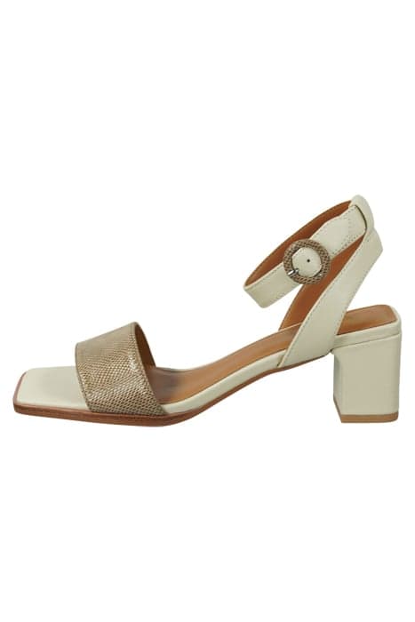 COURTNEY SANDAL CREAM MULTI by Scotch & Soda Footwear