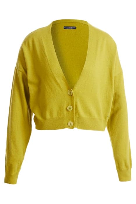 BASIC V-NECK CARDI LS GREEN by River Woods