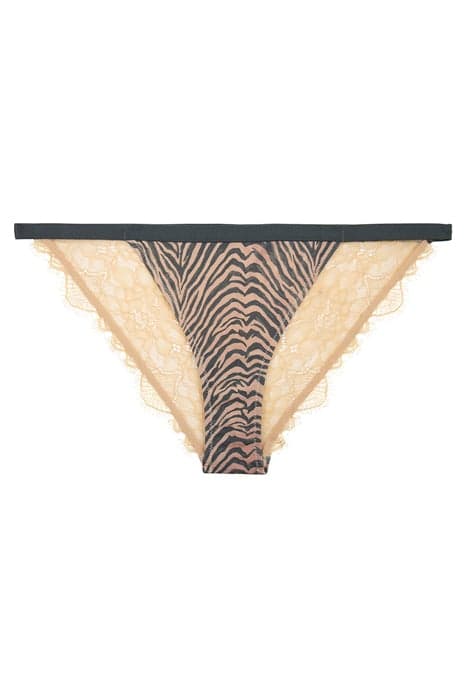 Wild Rose Brief Zebra Print by Love Stories