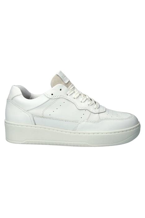 DREW - WHITE - SNEAKER (LOW) by Blackstone