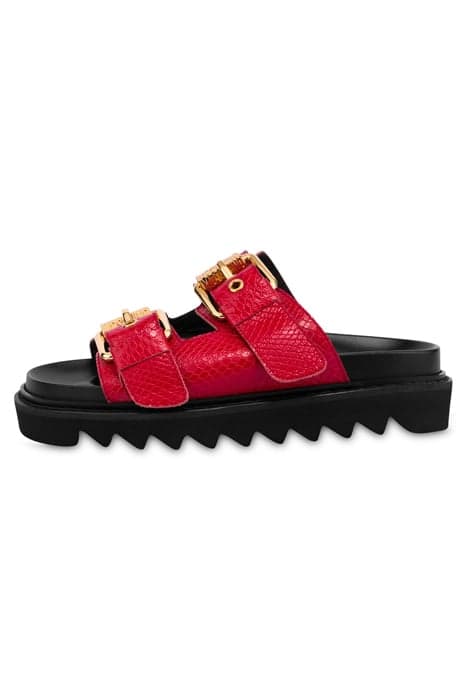 PYTHON PRINT CALFSKIN SANDALS WITH BUCKLES RED by Moschino