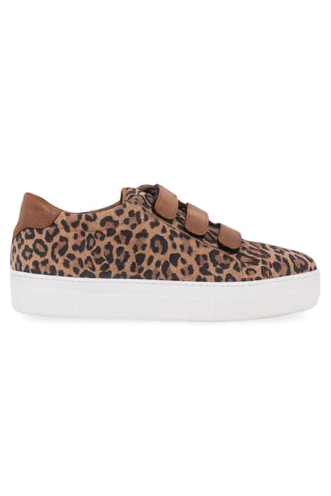 CHESTNUT LEOPARD MOTIF VELCRO LOW-TOP TRAINERS by ICODE