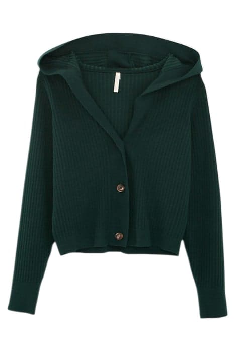 IMPERIAL GREEN RIBBED KNIT HOODED CARDIGAN by ICODE