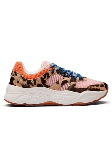 CELEST - SNEAKER ROSE/PONY PRINT OPT. by Scotch & Soda